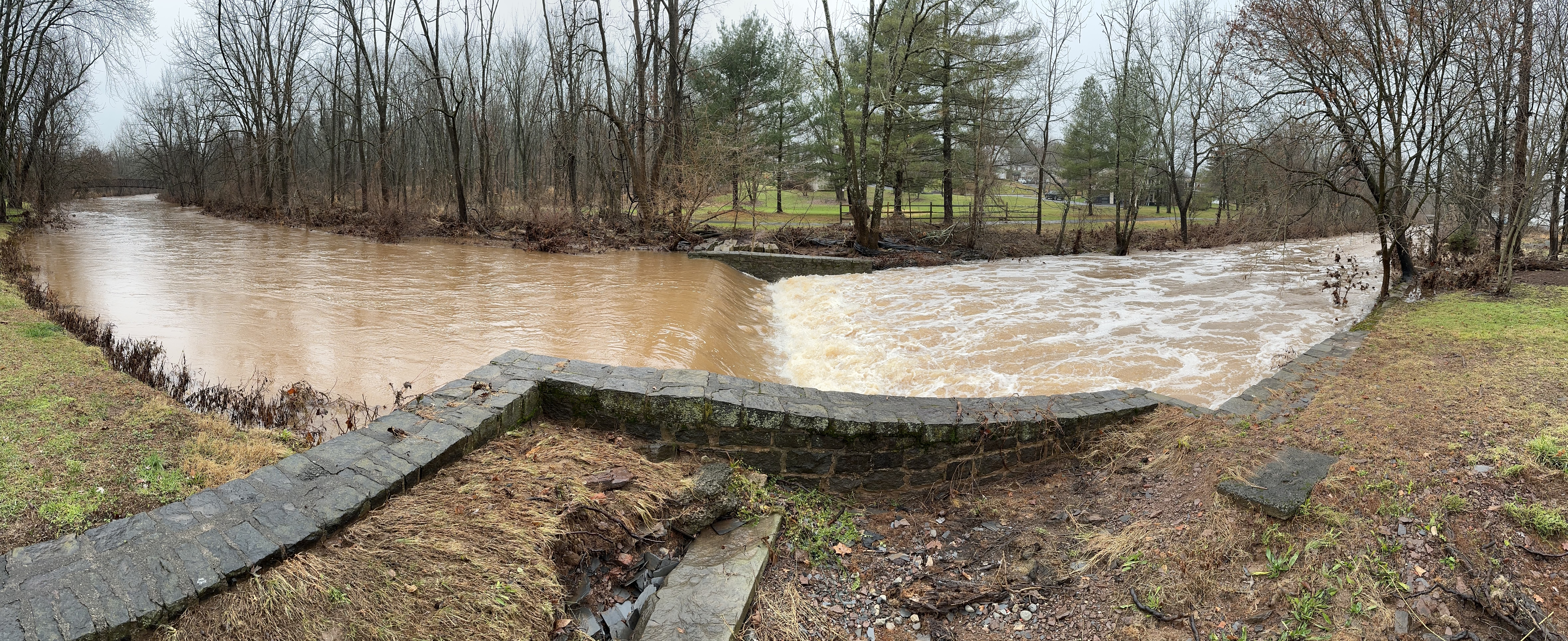 The creek in our backyard.