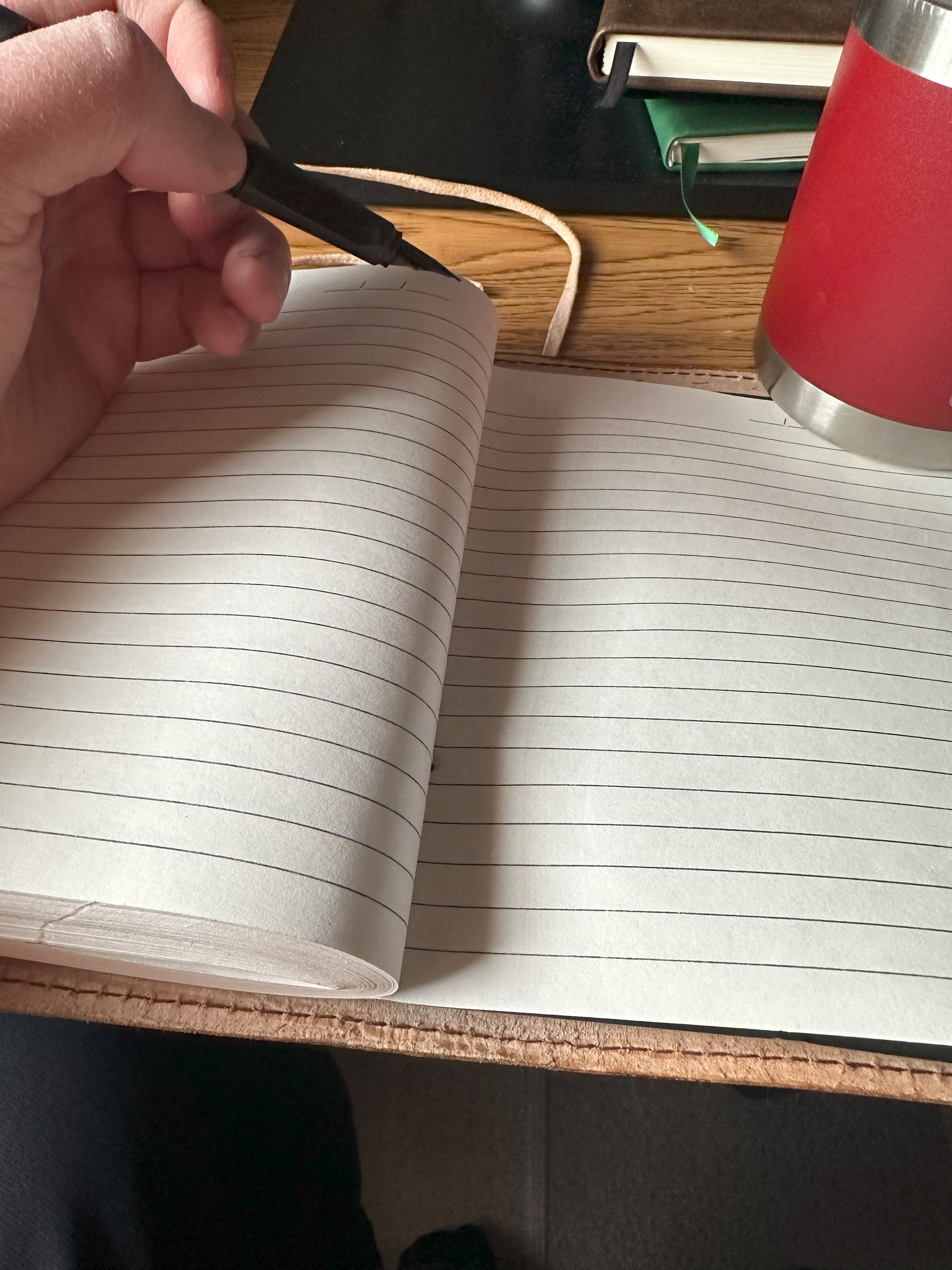 My hand holding a pen over a journal.