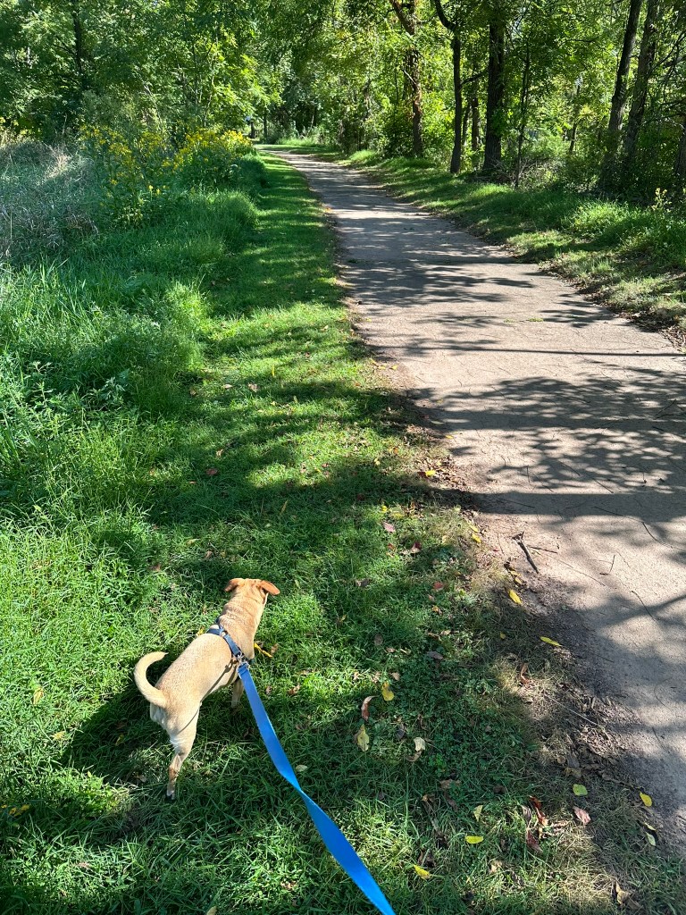 Chance on the trail