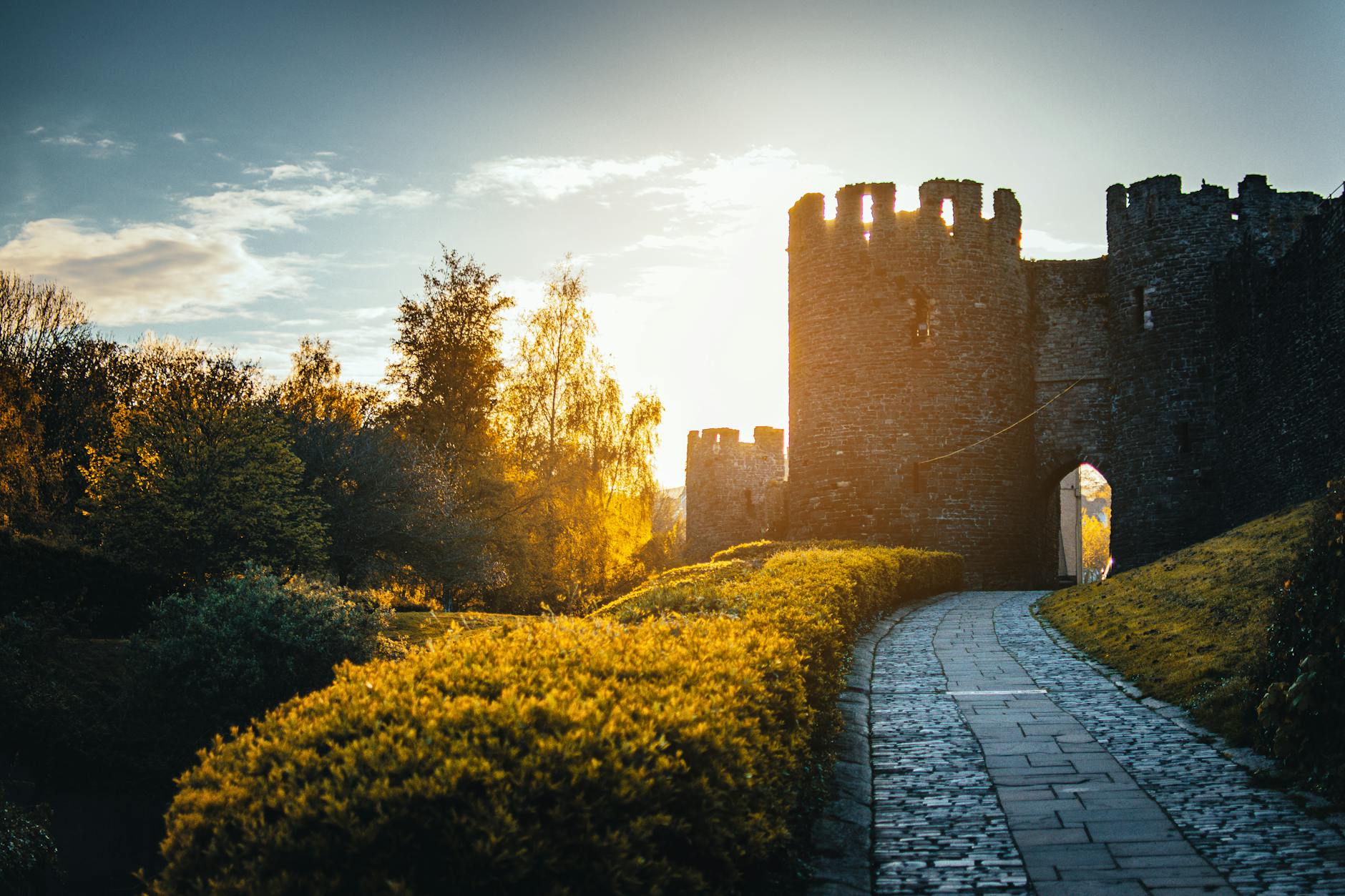 A Letter to a Fallen King