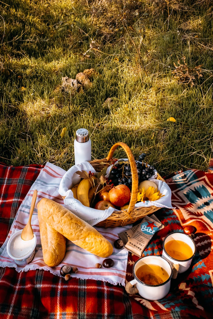A picnic basket, loaded with fresh fruits like apples, bananas, and grapes, sitting on top of a flannel blanket, lying on the grass.